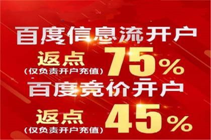 成功企业背后的百度推广策略